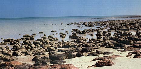stromatolieten01
