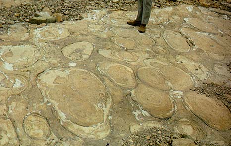 stromatolieten02